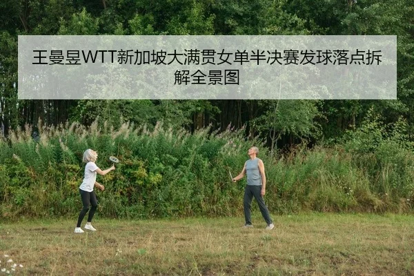 王曼昱WTT新加坡大满贯女单半决赛发球落点拆解全景图